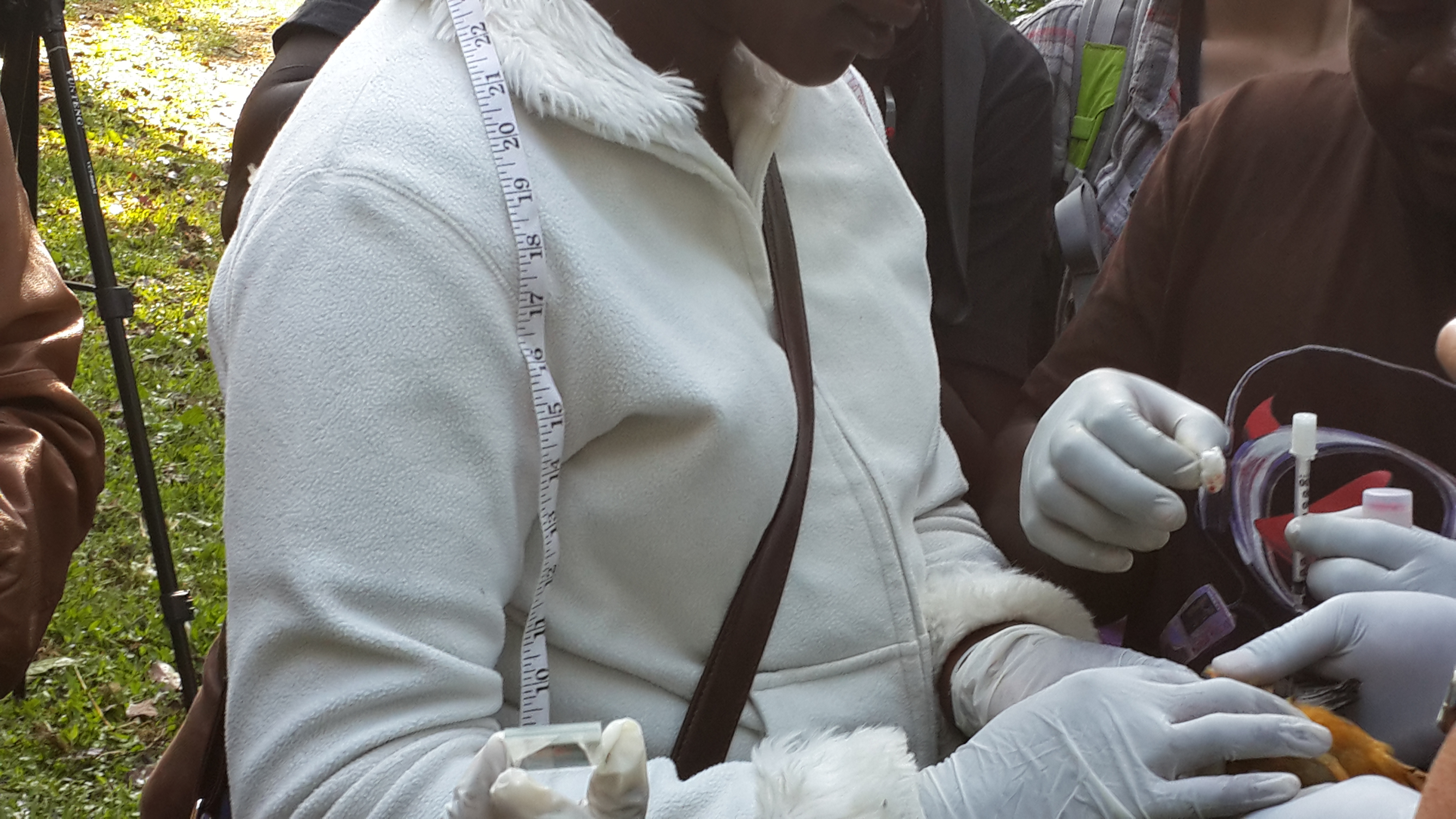 Science driven field work image 16